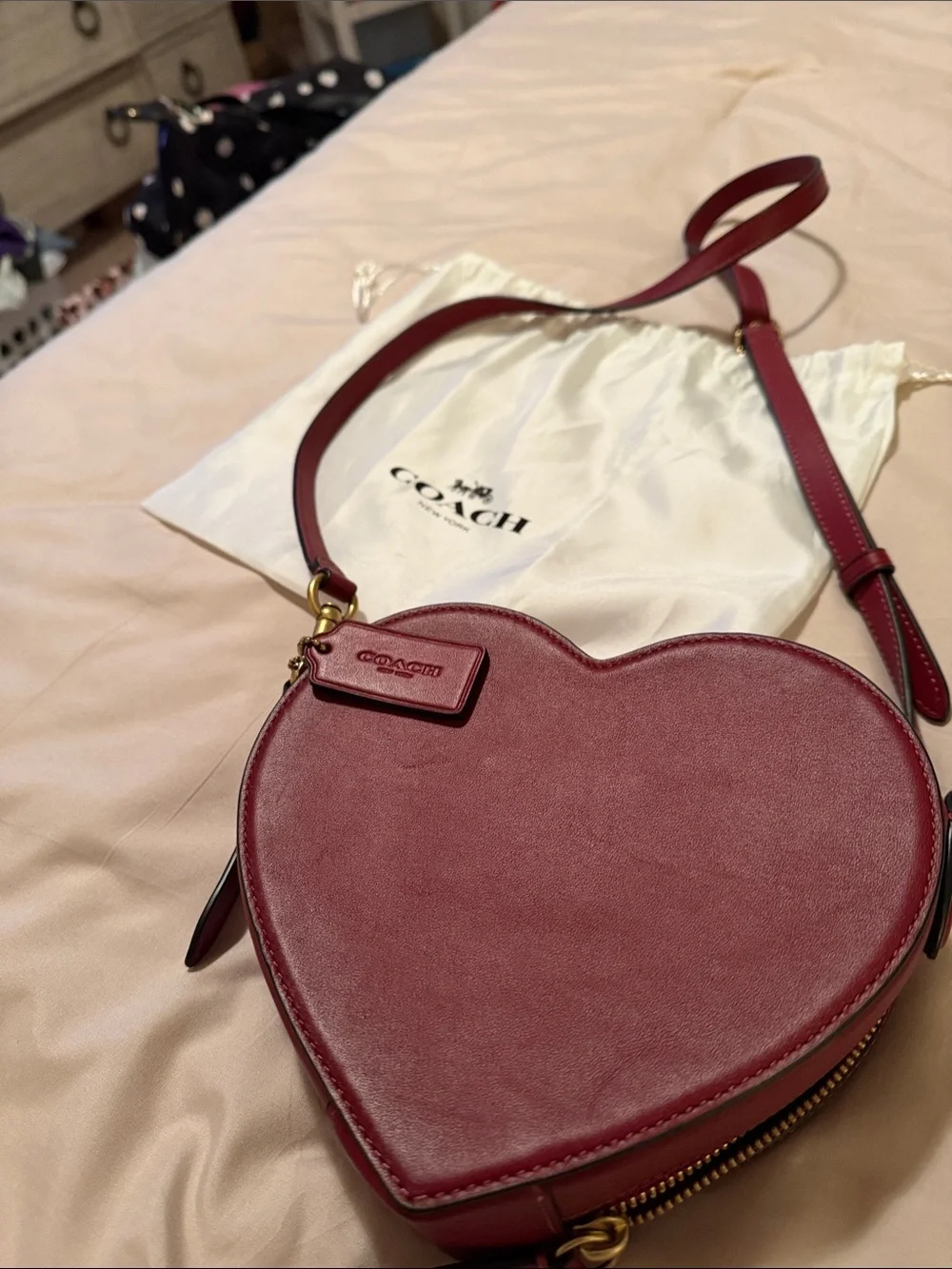 Women's Bag Subcategory Identification